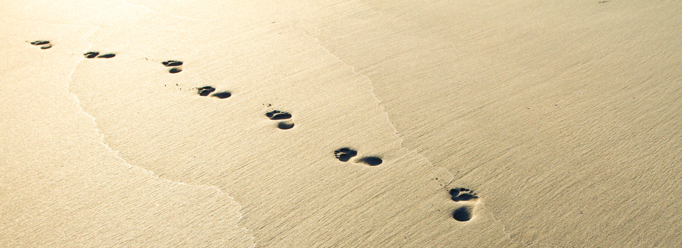 psicologos castellon